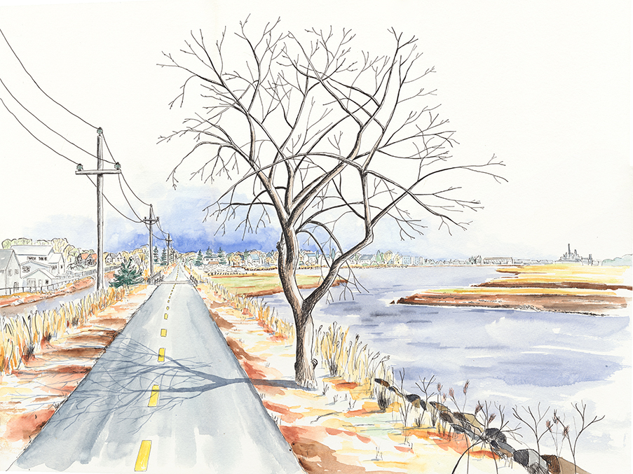 Late Autumn Marsh View Thumbnail Placeholder